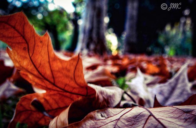 Otoño Méndez