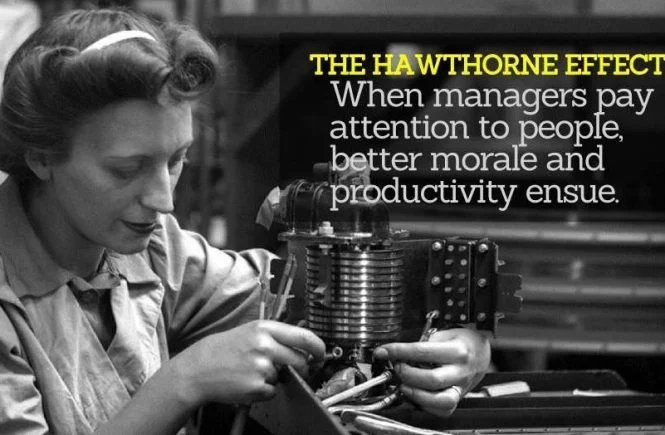 The_Hawthorne_Effect 2